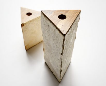 Engineers Dirk Hebel and Philippe Block use fungi to build self-supporting structures