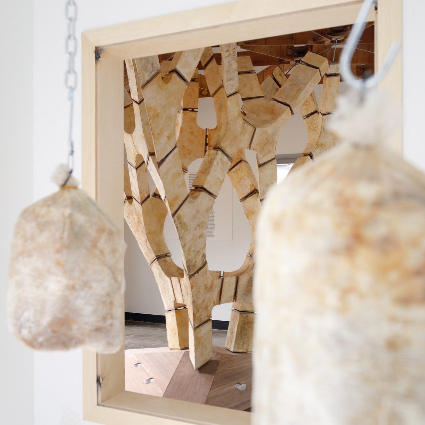 Engineers Dirk Hebel and Philippe Block use fungi to build self-supporting structures