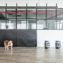 Lim + Lu transforms Hong Kong warehouse into home for two artists, four dogs and a cat
