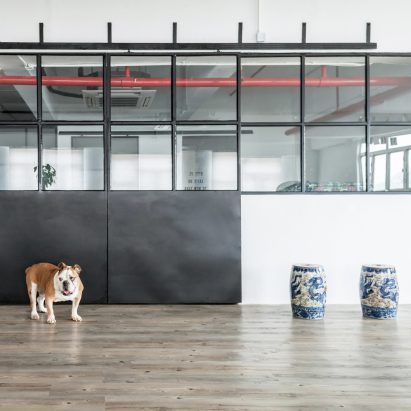 Lim + Lu transforms Hong Kong warehouse into home for two artists, four dogs and a cat