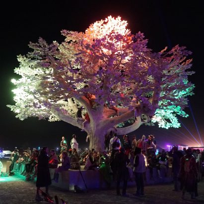 Tree of Ténéré by Studio Drift