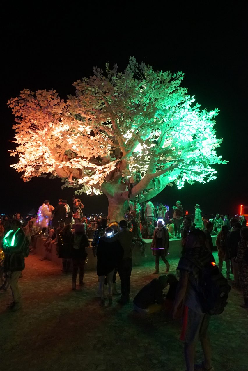 Tree of Ténéré by Studio Drift