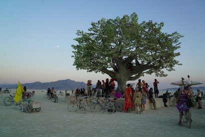 Tree of Ténéré by Studio Drift