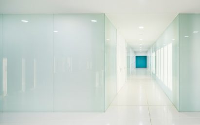 Almost Invisible House