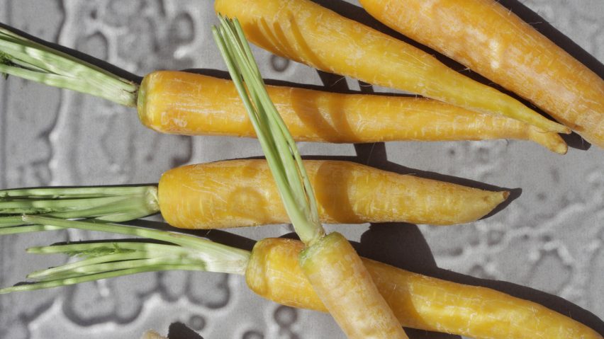 10 sustainable foods of the future on show at Dutch Design Week