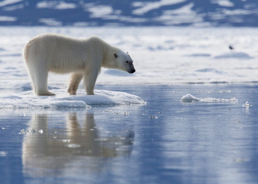 Watch our talk on climate change live from Dutch Design Week