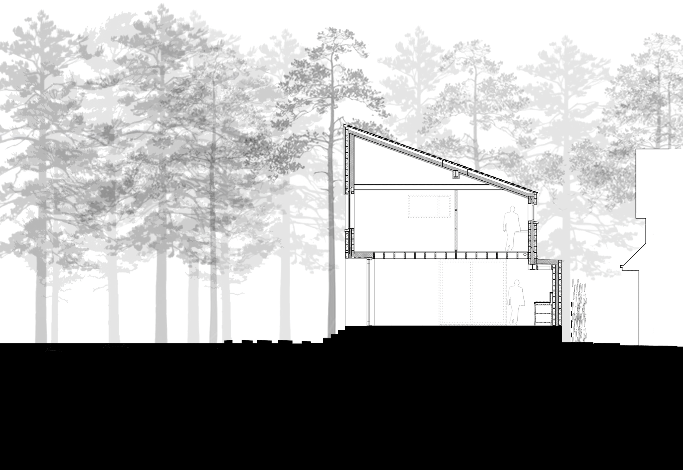 House in the Woods by Arigho Larmour Wheeler Architects