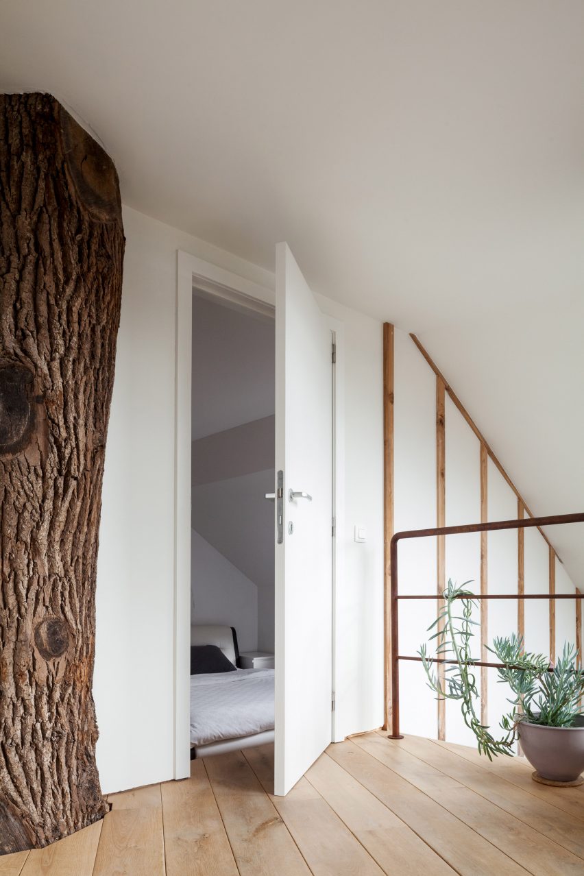 Atelier Vens Vanbelle build pentagonal house around an oak tree trunk