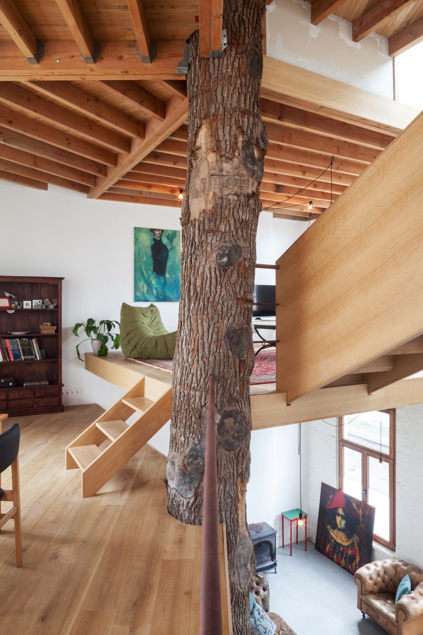 Atelier Vens Vanbelle build pentagonal house around an oak tree trunk