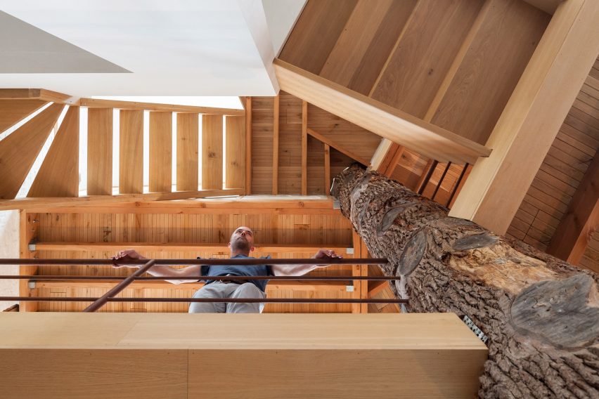 Atelier Vens Vanbelle build pentagonal house around an oak tree trunk