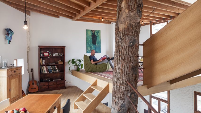 Atelier Vens Vanbelle build pentagonal house around an oak tree trunk