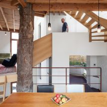 Atelier Vens Vanbelle build pentagonal house around an oak tree trunk