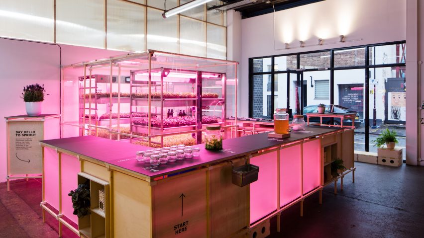 LOKAL by Space10