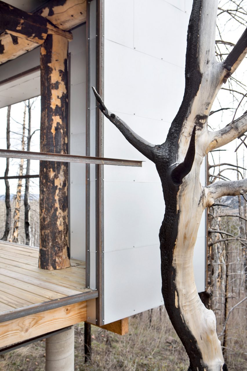 The Phoenix by Carney Logan Burke Architects
