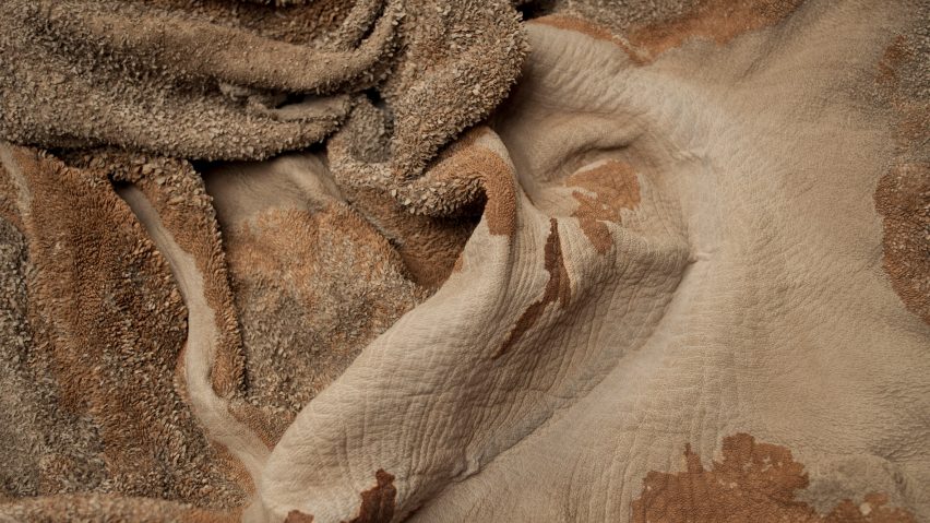 Billie van Katwijk transforms discarded cow stomachs into leathery material