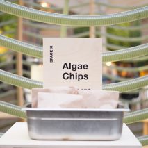 Space10 pavilion imagines a future where buildings produce food for residents