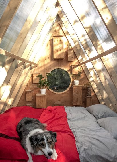 Birdhut by Studio North