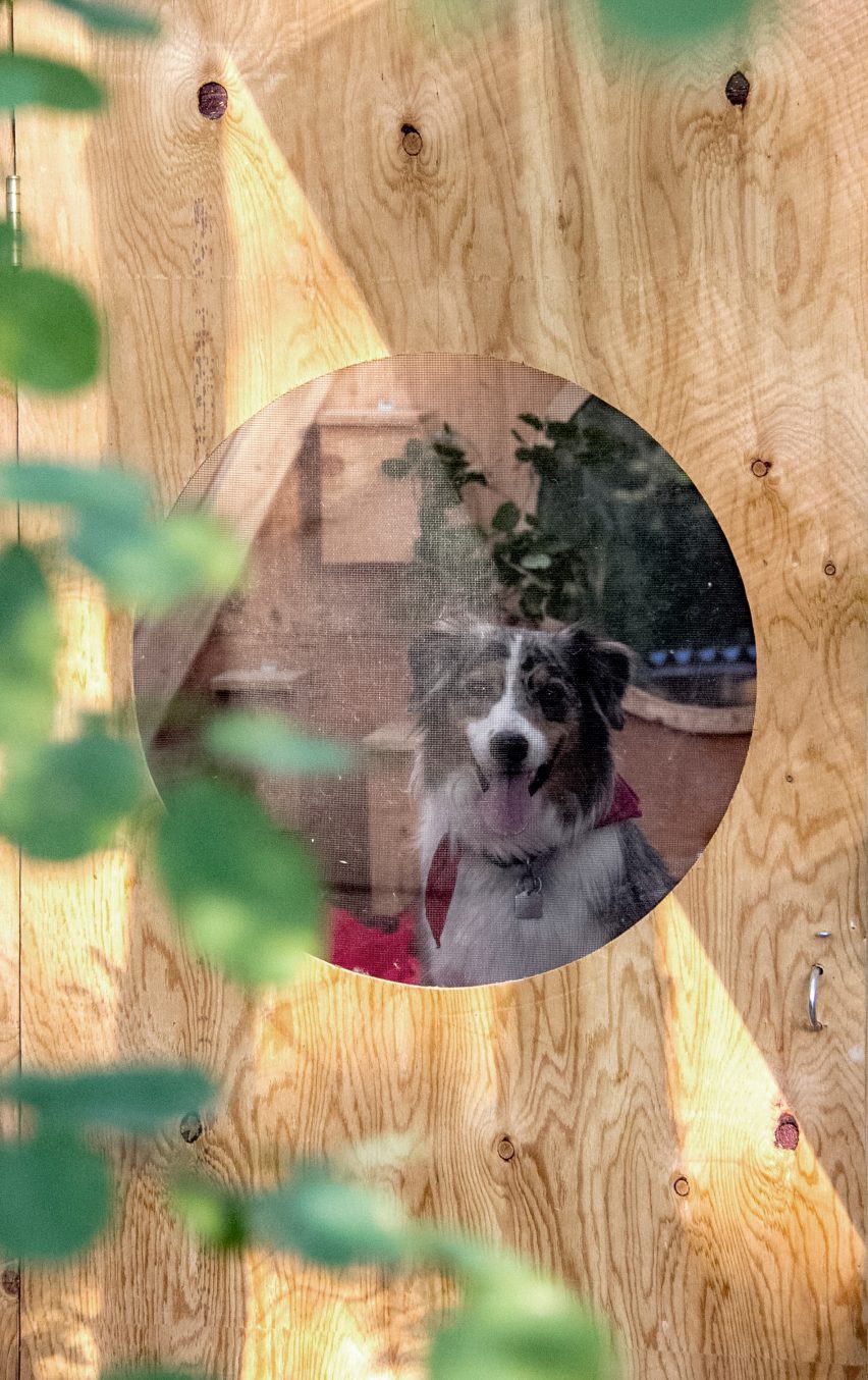 Birdhut by Studio North