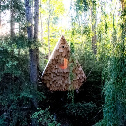 Birds and humans share wooden treehouse in western Canada by Studio North
