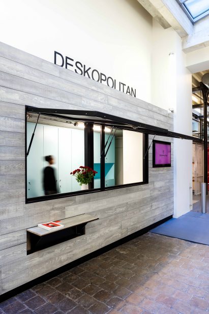 Deskopolitan by Linda Morey-Burrows