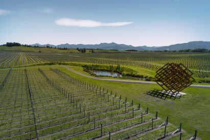 Studio Dror's installation imitates the vineyards of Brancott Estate