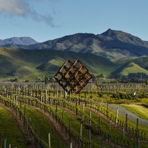 Studio Dror's installation imitates the vineyards of Brancott Estate