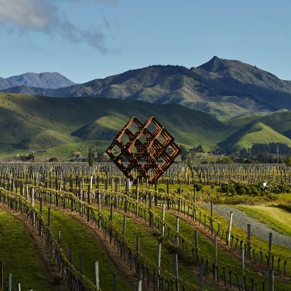 Studio Dror's installation imitates the vineyards of Brancott Estate