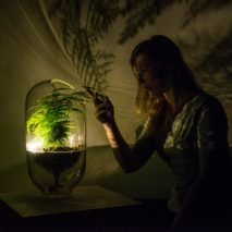 Living Light is an off-grid lamp powered by photosynthesis