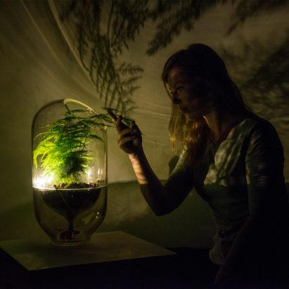 Living Light is an off-grid lamp powered by photosynthesis