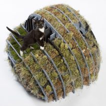 Flora-Gato is a cat shelter made from moss and recycled plastic