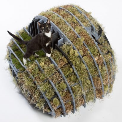 Flora-Gato is a cat shelter made from moss and recycled plastic
