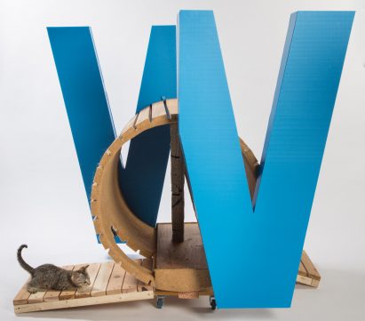 Cat's Win! Cat's Win! by Kollin Altomare Architects