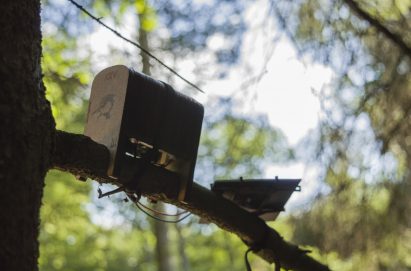 Robots could be released into the countryside to help restore damaged ecosystems, according to the curator of an exhibition held at Dutch Design Week last month.