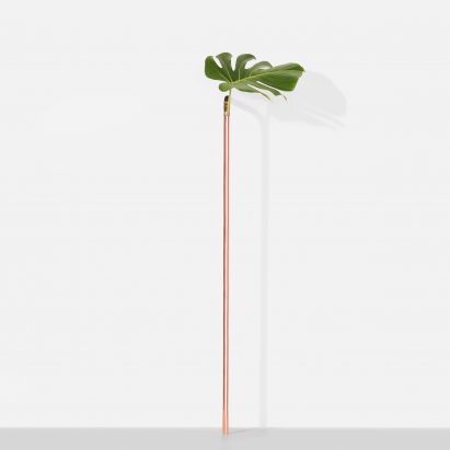 Solo Vases in Chapter 2 by Guilherme Wentz