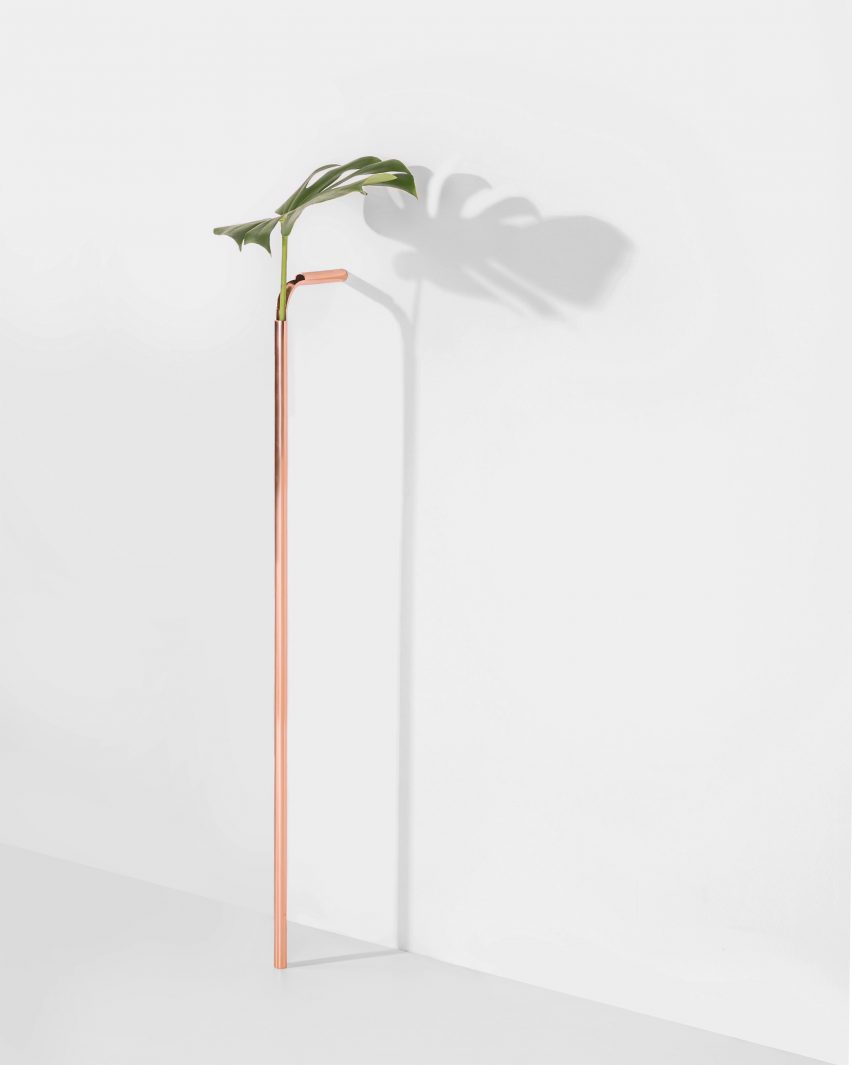 Solo Vases in Chapter 2 by Guilherme Wentz