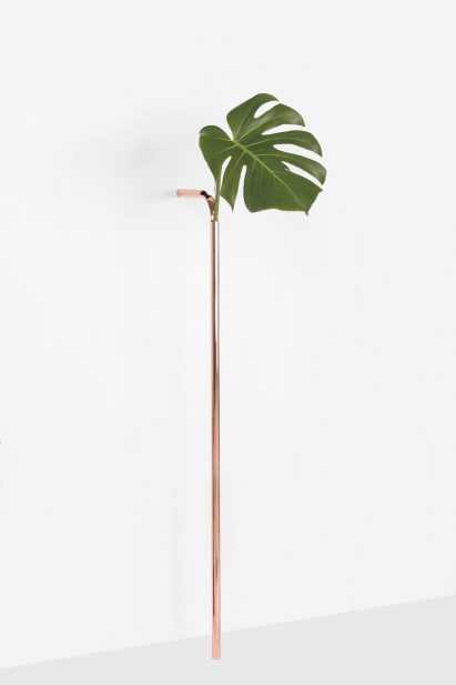 Solo Vases in Chapter 2 by Guilherme Wentz