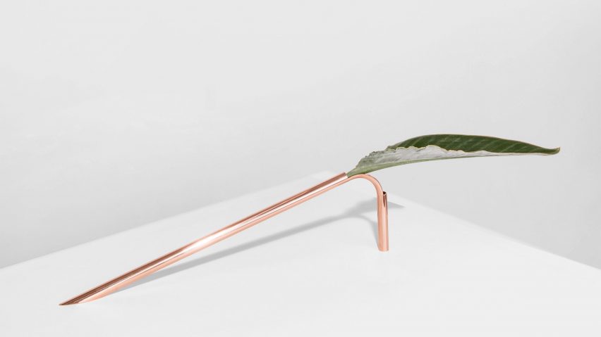 Solo Vases in Chapter 2 by Guilherme Wentz