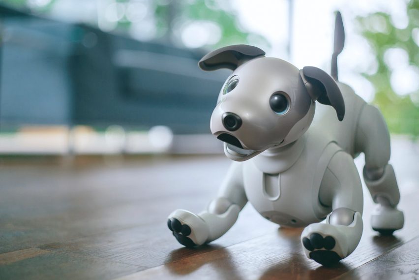 Sony Aibo robot dog