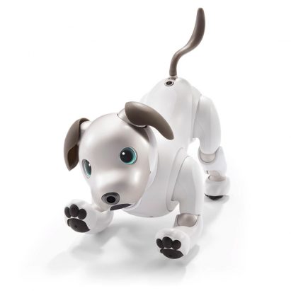 Sony Aibo robot dog