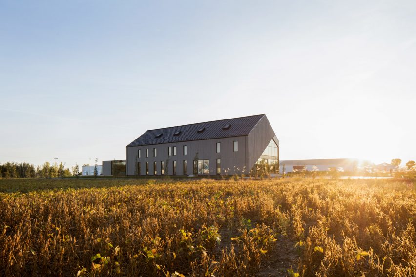 Standing in the Middle of the Field by Maurice Martel architect