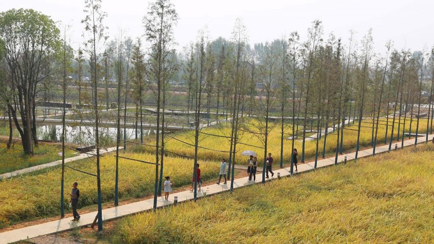 World Landscape of the Year 2017 goes to Chengtoushan Archaeological Park