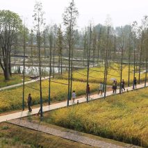 World Landscape of the Year 2017 goes to Chengtoushan Archaeological Park
