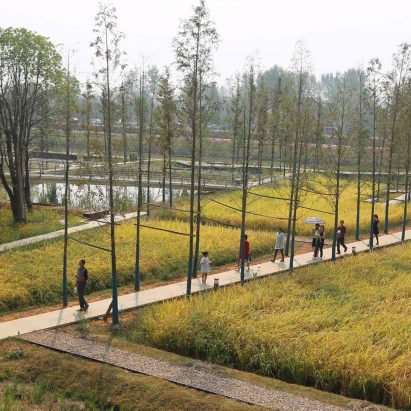 World Landscape of the Year 2017 goes to Chengtoushan Archaeological Park