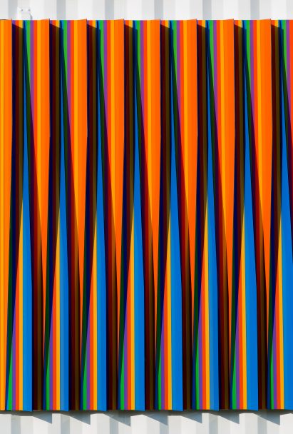 Carlos Cruz Diez