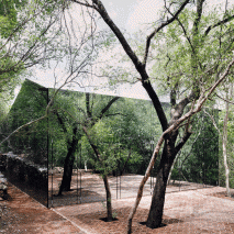 Reflective holiday home by Tatiana Bilbao hides among trees in Mexico