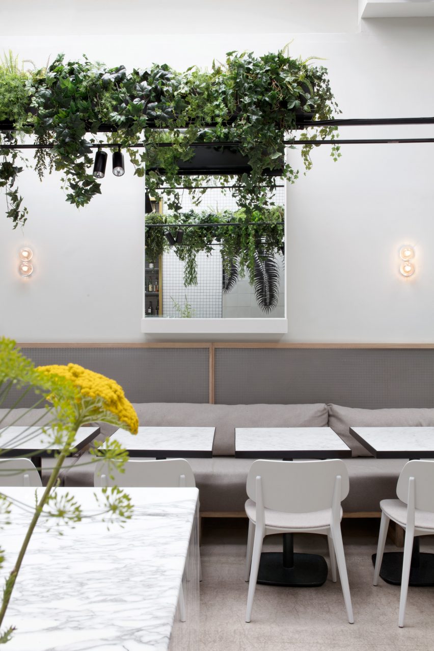 Stella Collective insert a tropical canopy into a Brighton cafe