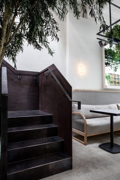 Stella Collective insert a tropical canopy into a Brighton cafe