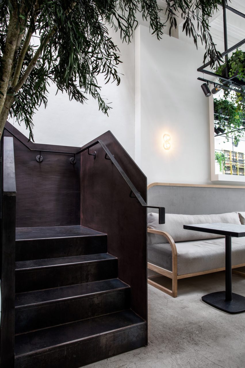 Stella Collective insert a tropical canopy into a Brighton cafe
