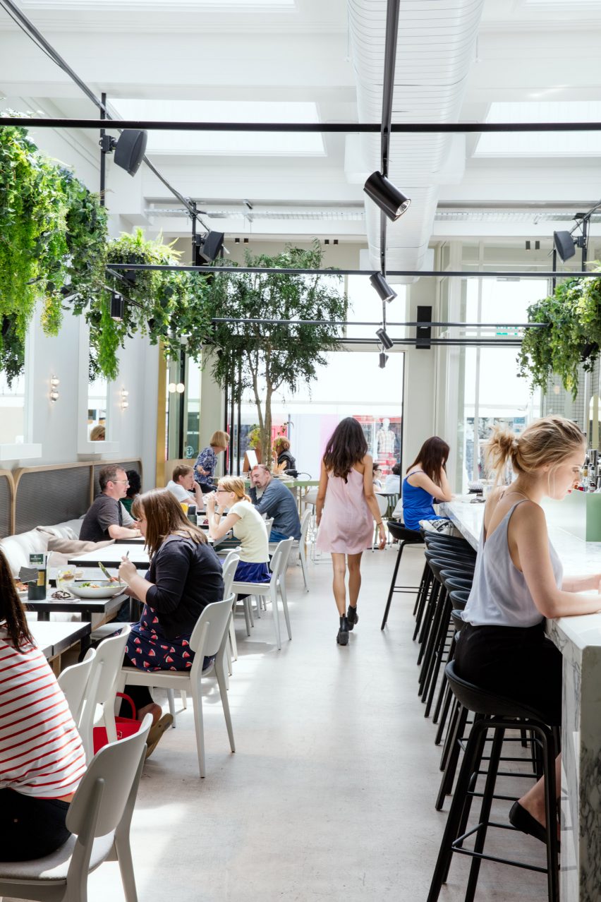 Stella Collective insert a tropical canopy into a Brighton cafe