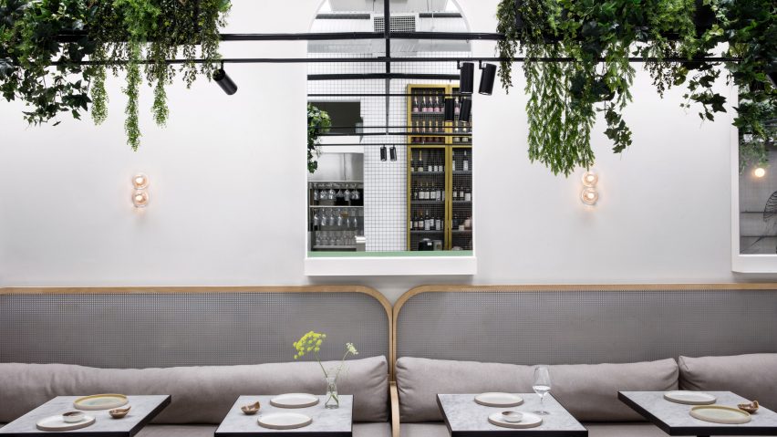 Stella Collective insert a tropical canopy into a Brighton cafe